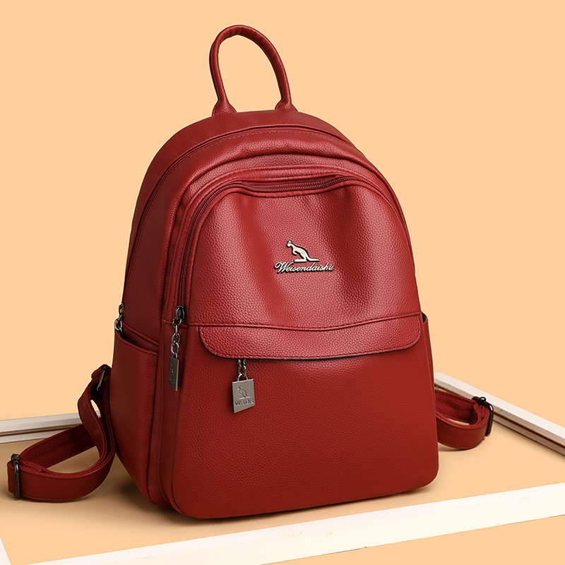 2024 New Women's Shoulder Bag  – Women'S Bags Designer Brands recenzja i cena