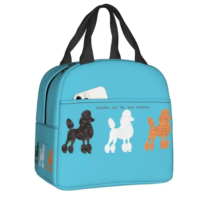 France Standard Poodle Insulat – Women'S Best Bags For Work recenzja i cena